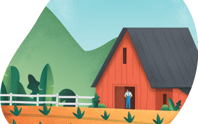 خاک مناسب برای هر گیاه: چگونه ترکیب ایده‌آل را انتخاب کنیم؟