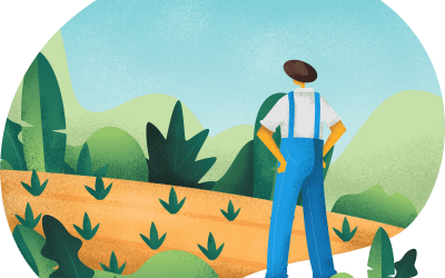 کوددهی هوشمند: زمان، مقدار و نوع کود چگونه تعیین می‌شود؟